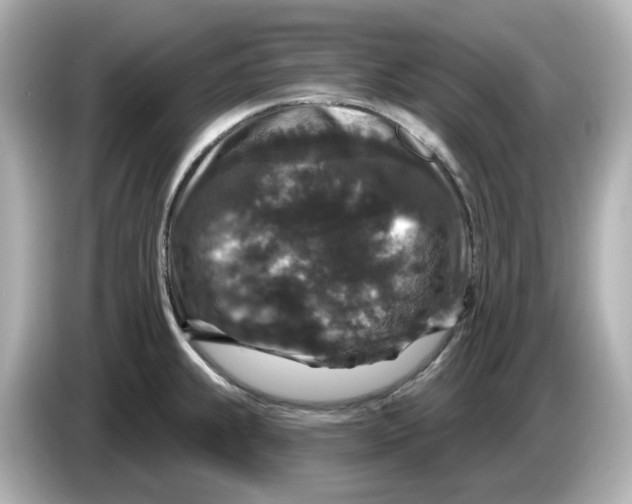 X0000085761239200704091328