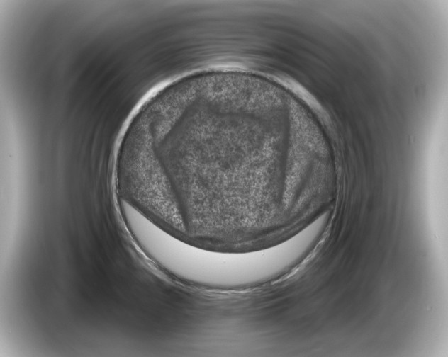 X0000085761240200704091328