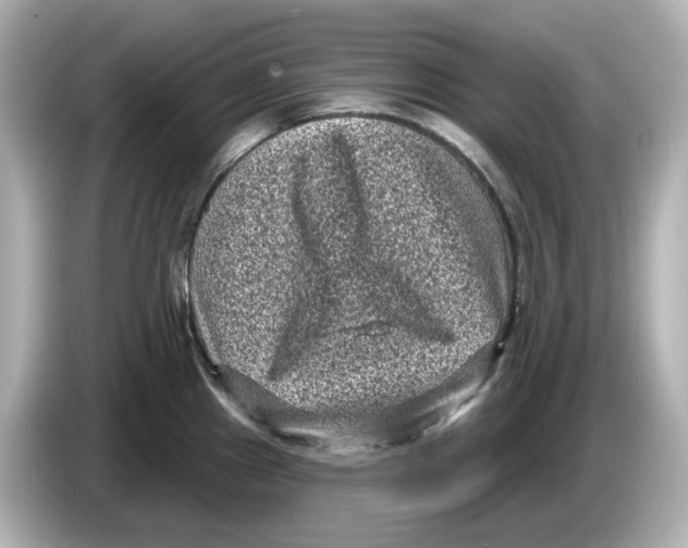 X0000085761241200704091328
