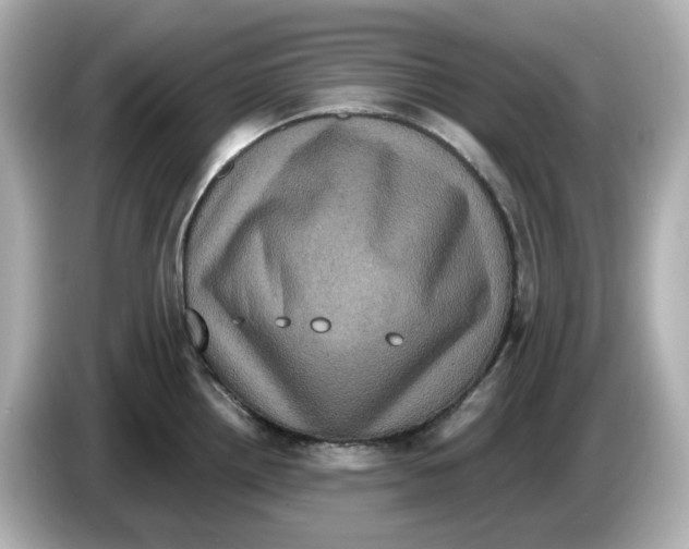 X0000085761242200704091328