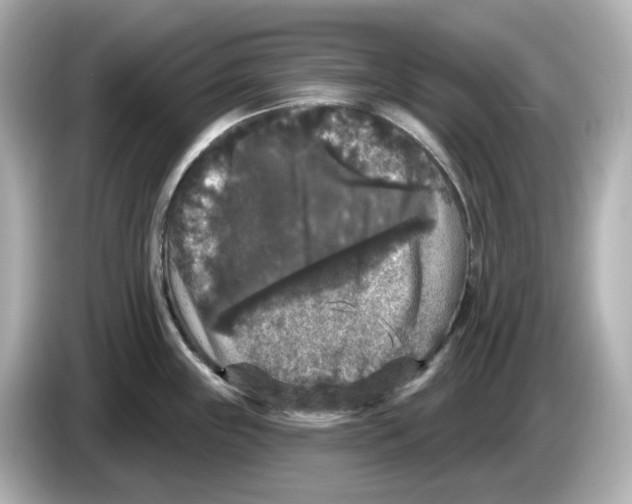 X0000085761243200704091328