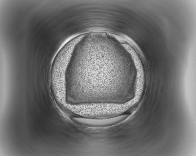 X0000085761244200704091328