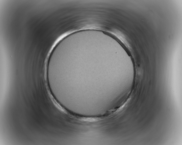 X0000085761246200704091328