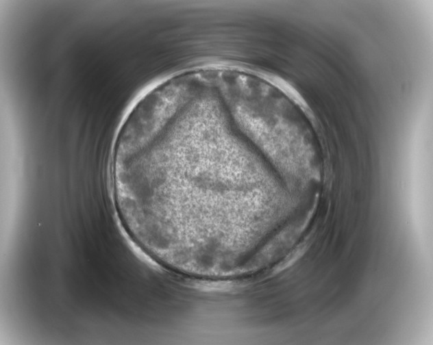 X0000085761247200704091328