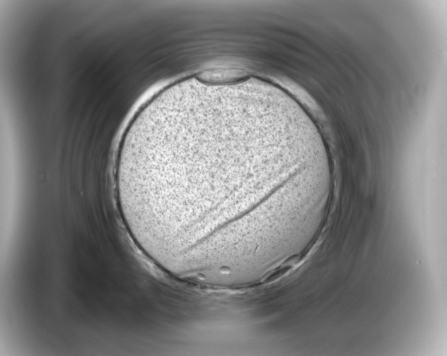 X0000085761248200704091328