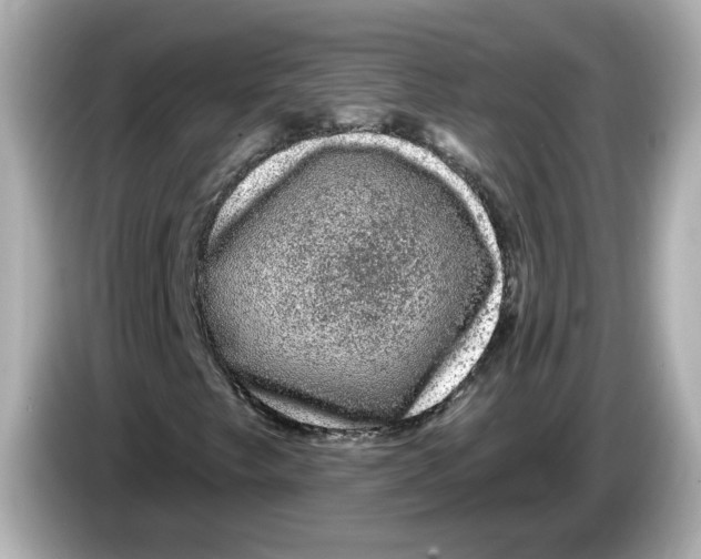X0000085761249200704091328
