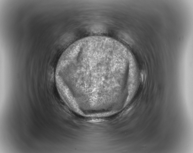 X0000085761251200704091328