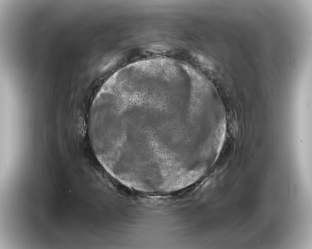 X0000085761253200704091328
