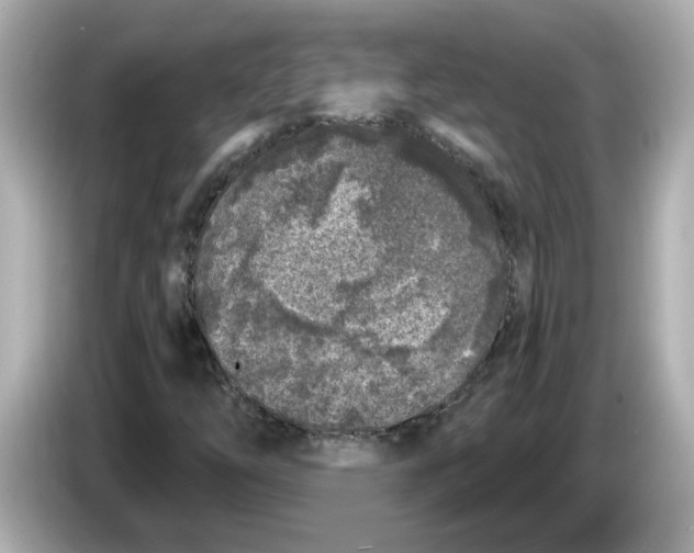 X0000085761254200704091328