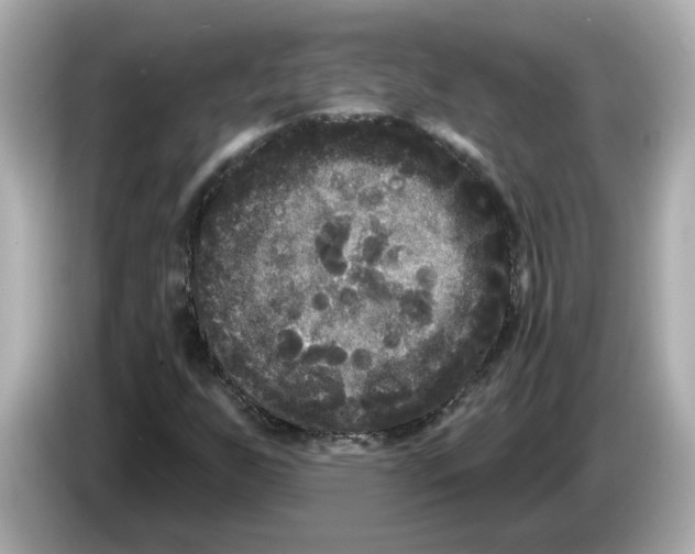 X0000085761255200704091328