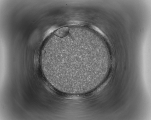 X0000085761259200704091328