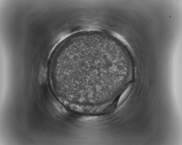 X0000085761260200704091328