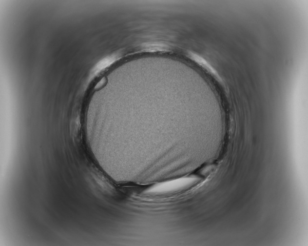 X0000085761261200704091328