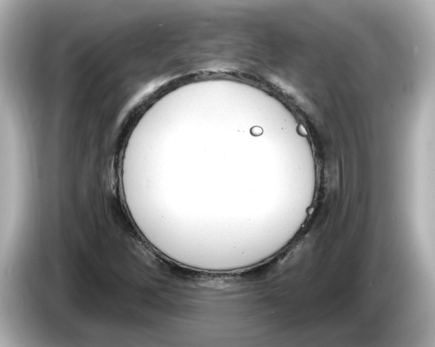 X0000085761262200704091328