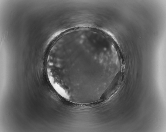 X0000085761263200704091328