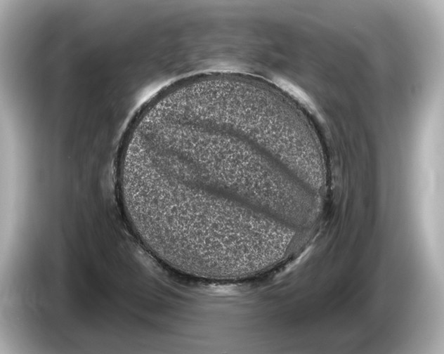 X0000085761264200704091328
