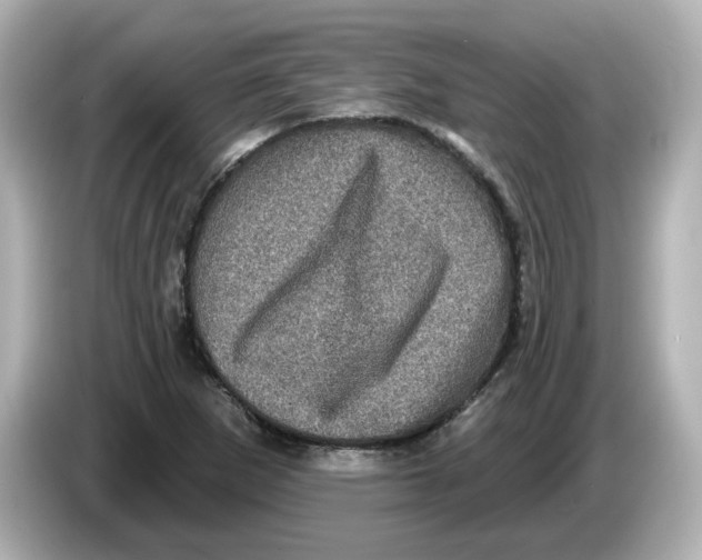 X0000085761265200704091328