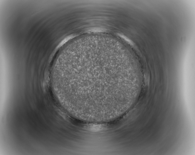 X0000085761266200704091328