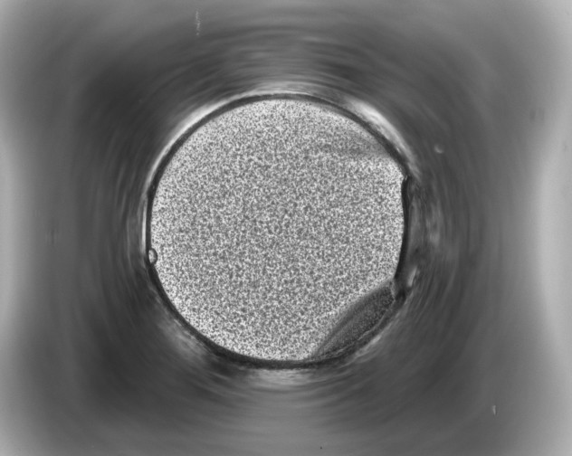 X0000085761276200704091328