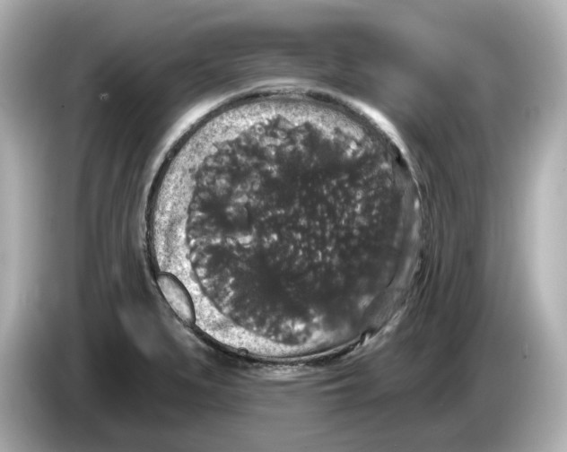 X0000085761279200704091327