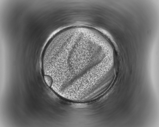 X0000085761280200704091327