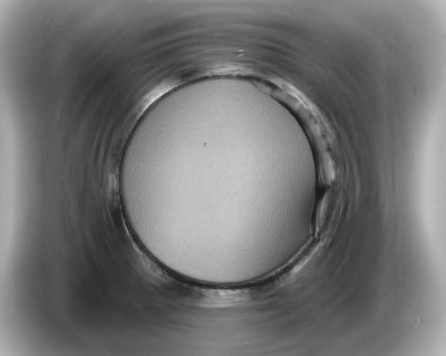 X0000085761281200704091327