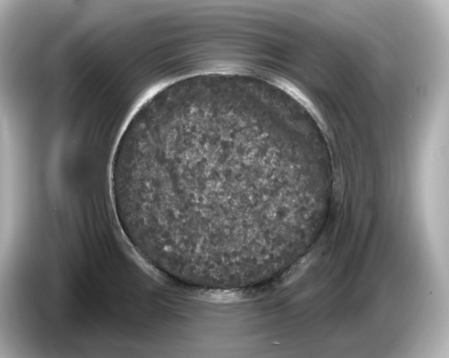 X0000085761283200704091327