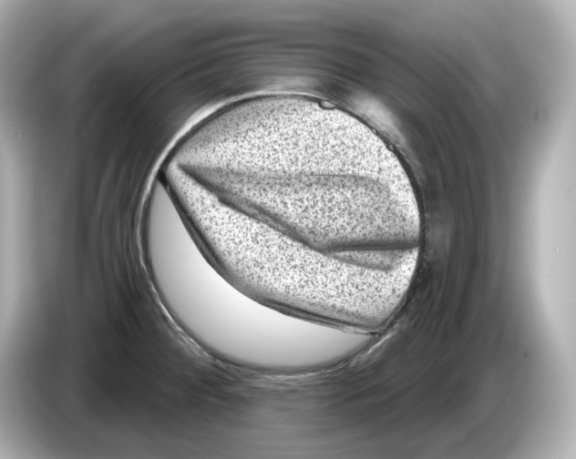 X0000085761284200704091327