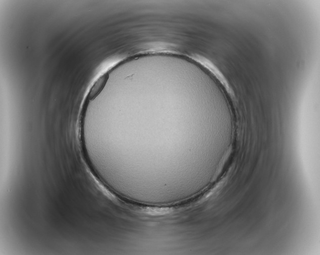X0000085761285200704091327