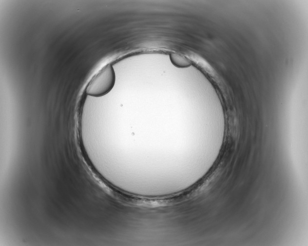 X0000085761286200704091327