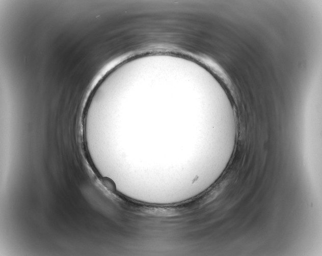 X0000085761287200704091327