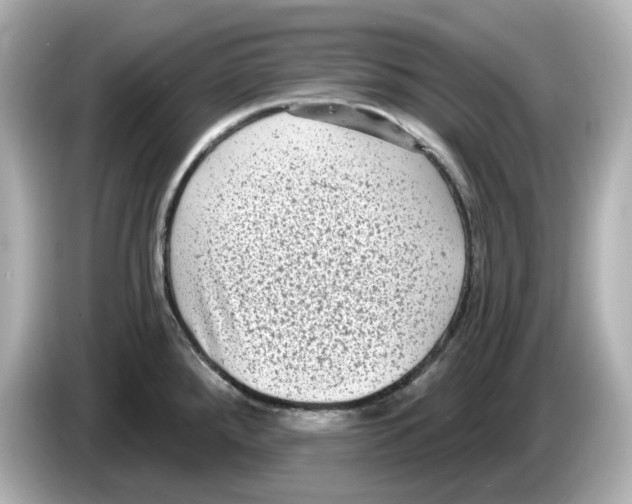 X0000085761288200704091327