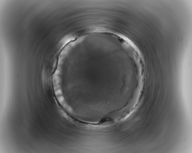 X0000085761289200704091327