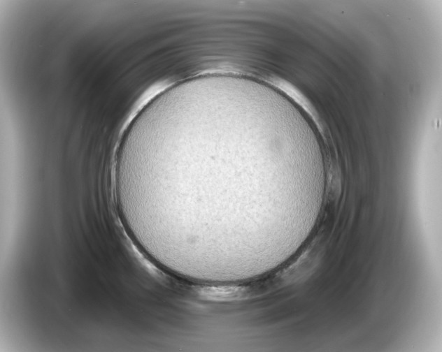 X0000085761290200704091327