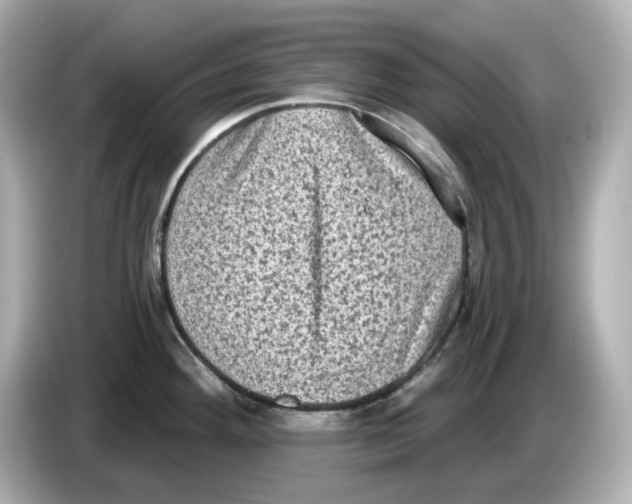 X0000085761292200704091327