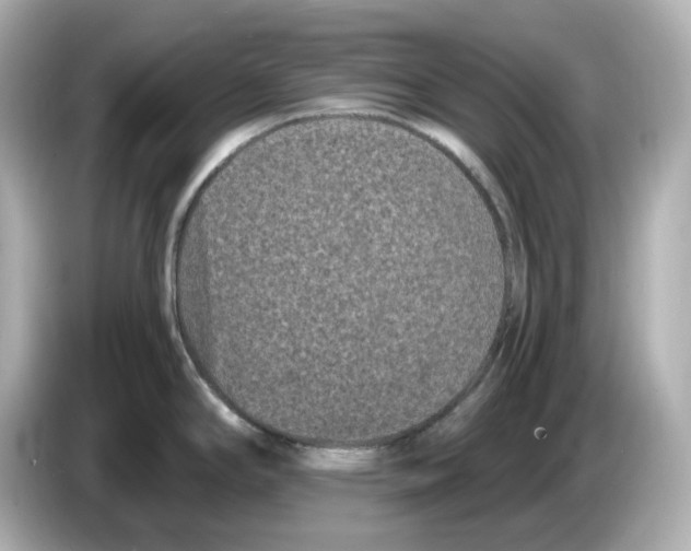 X0000085761294200704091327