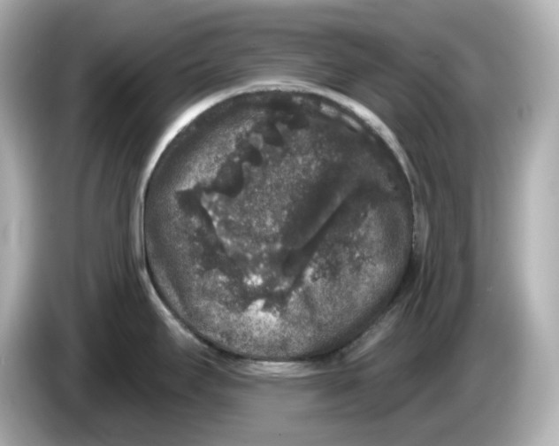 X0000085761295200704091327