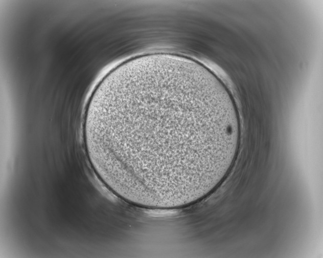 X0000085761296200704091327