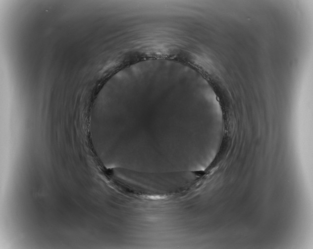 X0000085761297200704091327