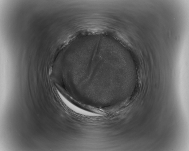 X0000085761298200704091327