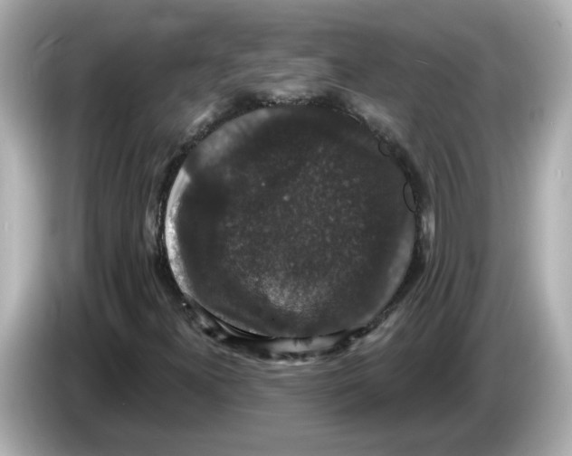 X0000085761300200704091327