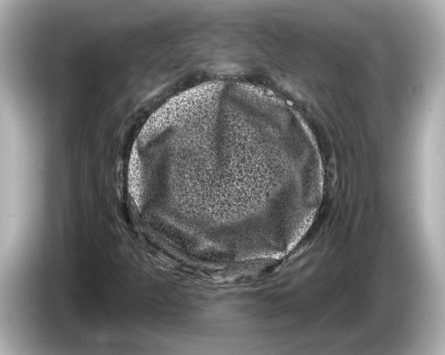X0000085761301200704091327