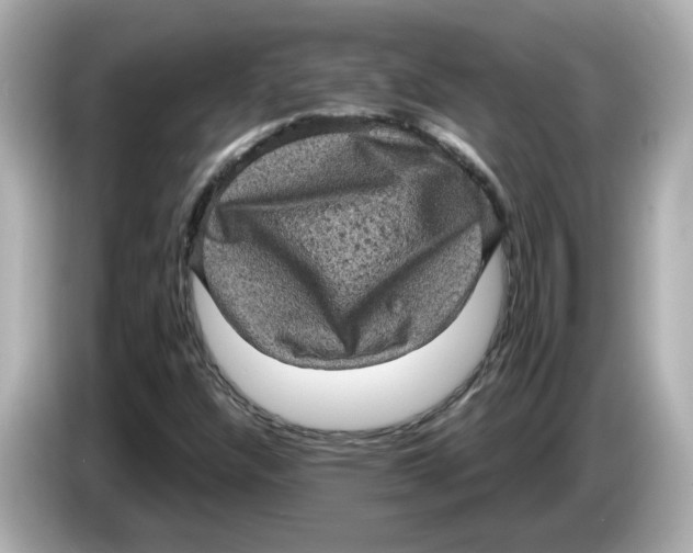 X0000085761304200704091327