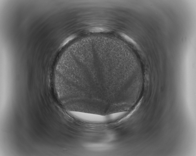 X0000085761305200704091327