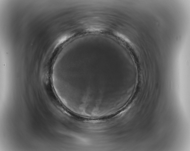 X0000085761306200704091327