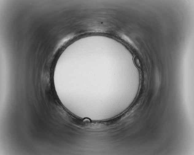 X0000085761307200704091327