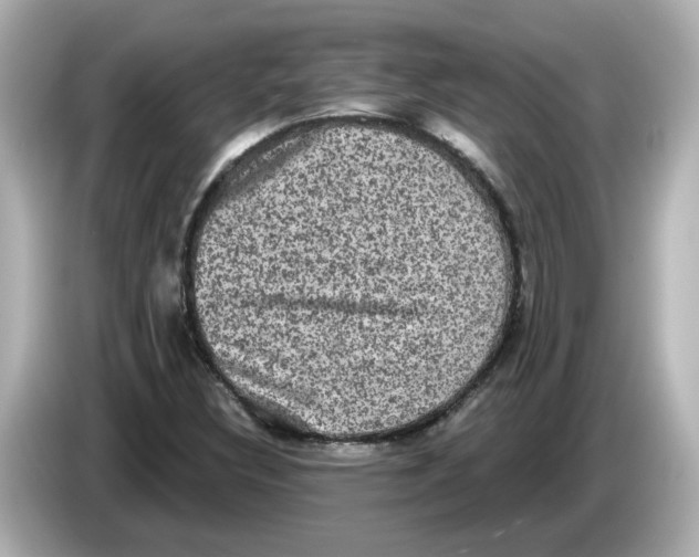X0000085761308200704091327
