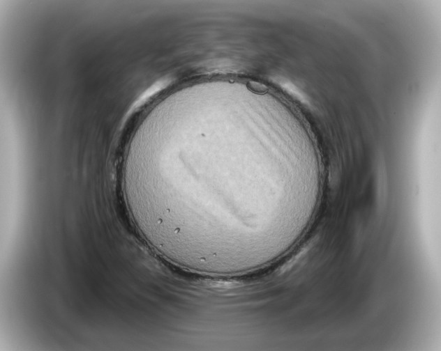X0000085761309200704091327