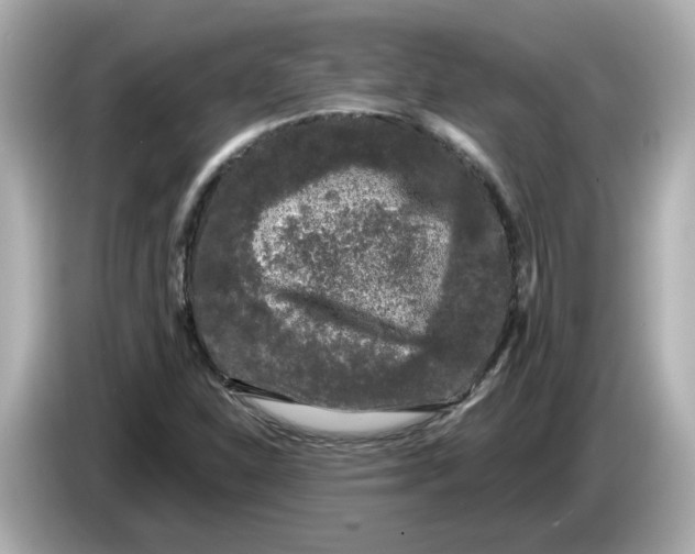 X0000085761310200704091327