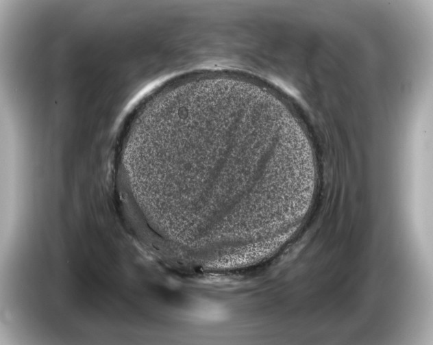 X0000085761311200704091327